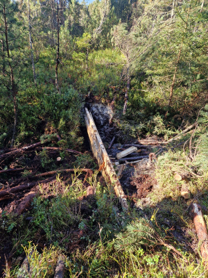 IMG-20241022-WA0016.jpg